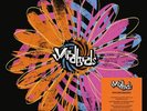 YARDBIRDS, THE Psycho Daisies The Complete B-Side USA LP Vinyl RSD 2024 Pre-Sale