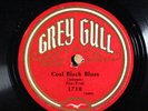 Unknown Dance Band GREY GULL 170 V+