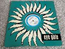 Vtg Edgar Allan Poe Vinyl Record 12” Lp Eye Gate House Master of poetry Short St