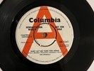 The Animals Baby Let Me Take You Home Columbia Demo DB 7247 1964 NM