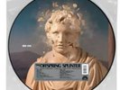 The Offspring - Splinter - Picture Disc RSD Vinyl 2024