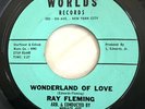 Northern Soul Popcorn 45 - Ray Fleming - Wonderland Of Love - Worlds