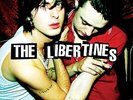 THE LIBERTINES - THE LIBERTINES VINYL LP REISSUE (NEW)