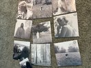 Taylor Swift - Folklore (Complete Vinyl Set in 8 Color Variants) Sealed w Bonus