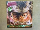 PETER AND THE TEST TUBE BABIES (double) LP - mating sound.........green vinyls.