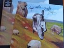 ENGLISH TEACHER THIS COULD BE TEXAS LP &  SIGNED /AUTOGRAPH 12