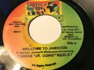 Damian Jr. Gong Marley - Welcome To Jamrock (Ghetto Youths United) 7