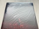 SIGNED Phoebe Bridgers - Punisher Limited Edition Vinyl