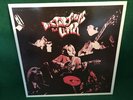The Litter Distortions vinyl Ace Garage Fuzz  Eva records French Pressing mono