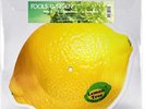 Fools Garden* - Fools Garden - Lemon Tree (RSD24 EX) Vinyl, 10