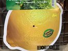 FOOLS GARDEN - LEMON TREE RSD 2024