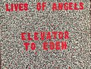 Lives Of Angels  Fire LP Elevator To Eden.  English Pressing