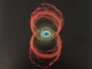 Pearl Jam – Binaural 2xLP Vinyl LP Record