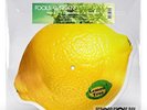 FOOL'S GARDEN LEMON TREE (RSD2024) 12