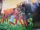 Lucio Battisti ‎Anima Latina 12/1974 1a Stampa LP