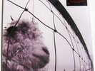 Pearl Jam vs vs. Remastered lp 180 Gram Audiophile Copy 2011 New Sealed Gatefold