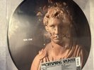 The Offspring - Splinter - Vinyl LP Die Cut Picture Disc RSD 2024 - NEW