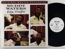 Muddy Waters 