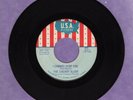 The Cherry Slush I Cannot Stop You Don't Walk Away USA 45 Record 895 MINT-
