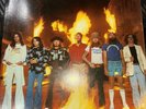 LYNYRD SKYNYRD - Street Survivors - Vinyl LP 1977 MCA-3029 Flame Cover