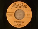 Joel Scott  You're My Only Love/Here I Stand RARE  Doo-Wop, Popcorn 1962 Philles