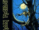 Fear Of The Dark by Iron Maiden (Record, 2017)