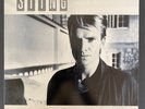 Sting   Dream Of The Blue Turtles   1985 Original FULLY PLAY TESTED VINYL NM