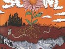 SCOWL - How Flowers Grow (reissue) - Vinyl (LP)