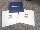 MARK FARINA LOT San Francisco Sessions  MUSHROOM JAZZ 1 &2