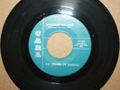 SOUNDS OF RANDALL *Wasting My Time* Garage Psych 45 on CARL 101
