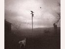 Farm Dogs - Last Stand In Open Country 2LP NEW RSD 2024 FREE SHIPPING