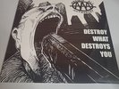 Against All Authority - Destroy What Destroys You LP Vinyl Record New, Sealed