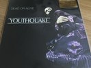 dead or alive youthquake vinyl Strictly Ltd Purple Music On Vinyl Low Number New