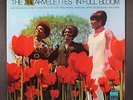 MARVELETTES: in full bloom TAMLA 12