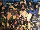 Fully Completely [PA] by The Tragically Hip (Vinyl, Dec-2014, Geffen)