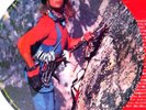 DAVID LEE ROTH 