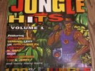 Various – Jungle Hits Volume 1 (1994) 2 x Vinyl, LP, Compilation