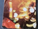 Beatles Fan Club disc 1969 (double-sided) Flexi Disc