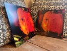 Alice in Chains - Jar of Flies Tri Color C2C Ltd Edition Sold Out
