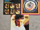 Paul Weller -  Wild Wood. Rare 10” Numbered Vinyl/Poster+weaver 10+1 more