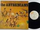 Abyssinians 