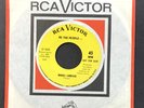 We the People RCA DJ Garage 45rpm 1968 
