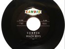 BEACH BOYS RECORD 
