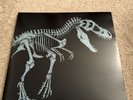 Mondo Jurassic Park OST Vinyl Amber x2LP MOND-017 RARE OOP