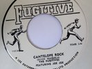 THE FUGITIVES Cantelope Rock FUGITIVE Herbie Hancock + Rocksteady 7” HEAR