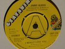 Jimmy Burns I really love you UK Grapevine DEMO 45