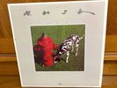 RUSH Signals vinyl record LP Mercury SRM 1-4063 Ultrasonic Clean  NM