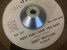 terry westlake FIRST TIME I SAW YOU BABY/BE MY CHAUFFEUR northern soul rare