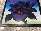THIN LIZZY Black Rose LP Vinyl 1979 Warner Bros BSK 3338 VG/VG+