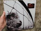 Pearl Jam - Vs (Vinyl LP, 2011 Reissue, Audiophile Pressing) BRAND NEW SEALED